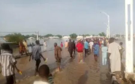 3,682 trapped persons in Maiduguri flood rescued – SEMA
