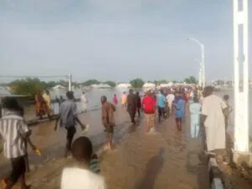 3,682 trapped persons in Maiduguri flood rescued – SEMA