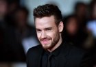 Liam Payne: One Direction singer swept up by teenage stardom