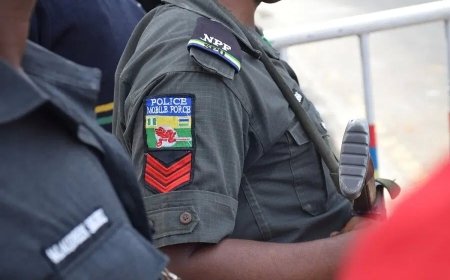 Anambra Police Arrest A Suspected Deviant Security Operative