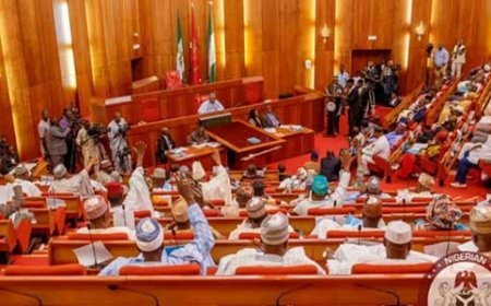 Apologise to Nigeria, Senate tells Libya govt