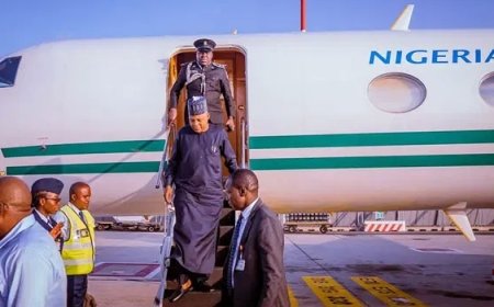 Shettima arrives in Sweden for two-day visit