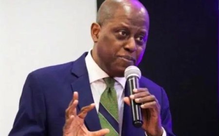 CBN does not determine FX rate – Cardoso