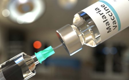 Anti-Malaria War: Nigeria Gets 846,000 Vaccine Doses