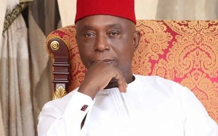 Insecurity: Why carrying arms will solve Nigeria’s security problem – Ned Nwoko