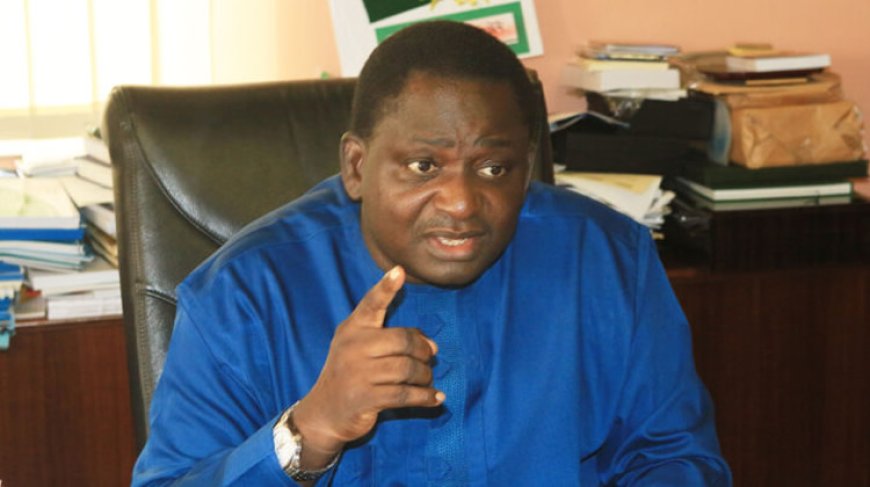 Femi Adesina: Service And Imperishable Legacies