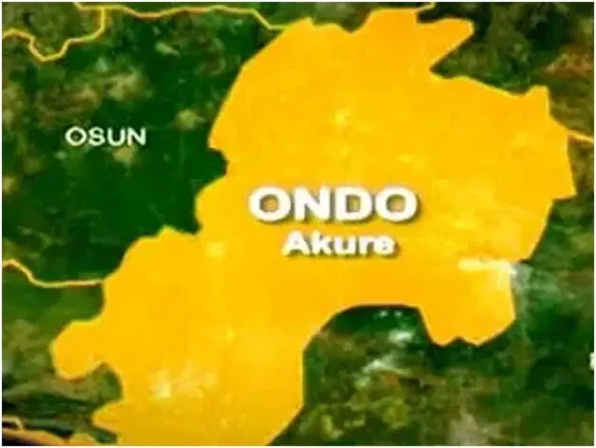 Female student stabs colleague to death in Ondo