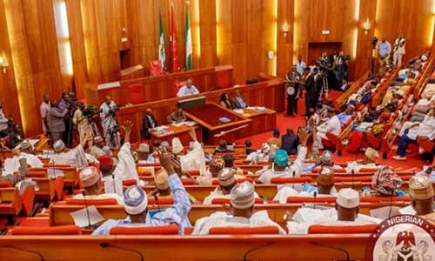 Apologise to Nigeria, Senate tells Libya govt