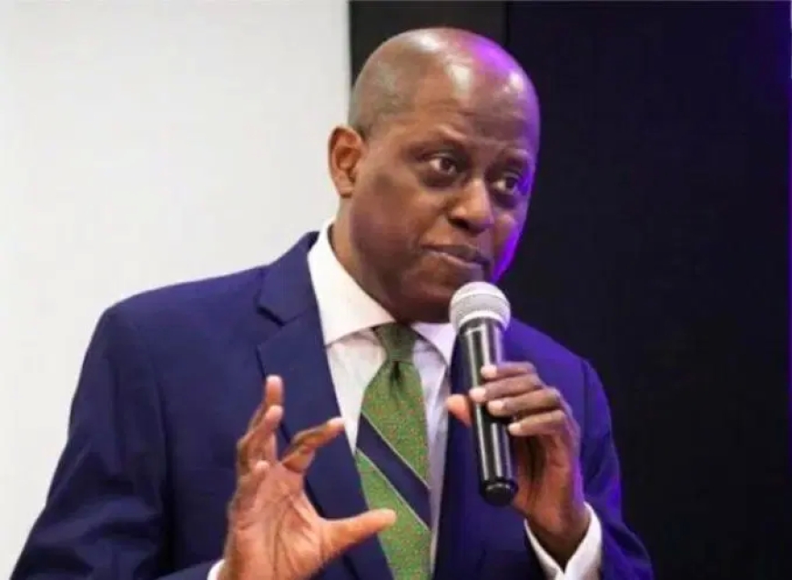 CBN does not determine FX rate – Cardoso