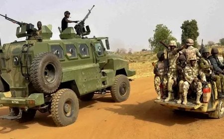 No investment in security, armed forces is too much – Senate