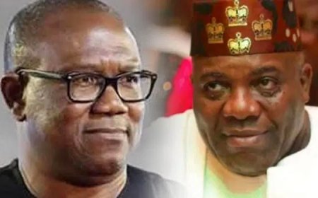 Why I can’t support Peter Obi again – Doyin Okupe