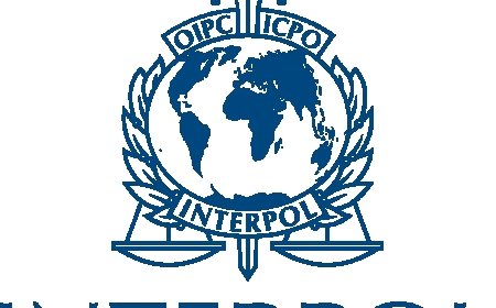 Interpol arrests over 2,500 in human trafficking crackdown