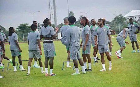 Afcon 2025 qualifiers: Simon, Chukwueze, six others among early birds in Abidjan