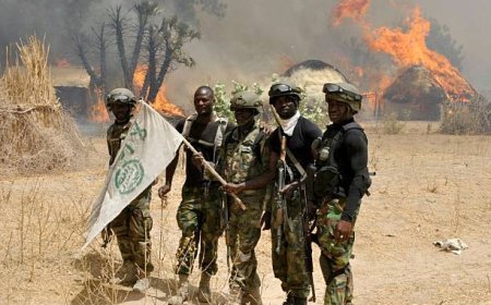 Insurgency: Nurse Escapes From Boko Haram Six Years After Abduction