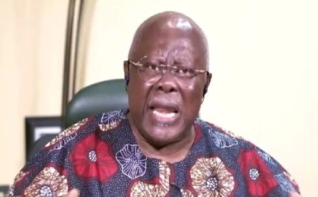Group to Bode George:  Your Counsel to Atiku Valueless, Envious and Tribalistic