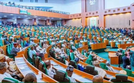 We’ll reintroduce rejected bill on 6-year single term—34 rep members