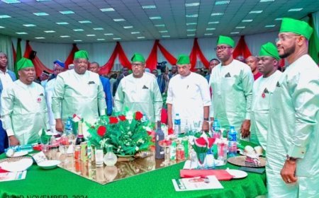 You're Losers Riding On A Tiger's Back, Soon To End Up In Its Belly-Group Trolls PDP NWC, Govs