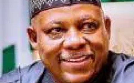 Shettima seeks tech-driven strategy to fight terrorism