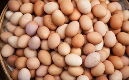 Price of beans rose by 254.23%; eggs, 140.21% – NBS