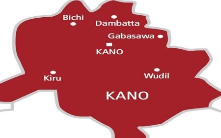 Kano Uncovers N1. 3bn Worth of Stolen Palliatives Rice in Warehouse