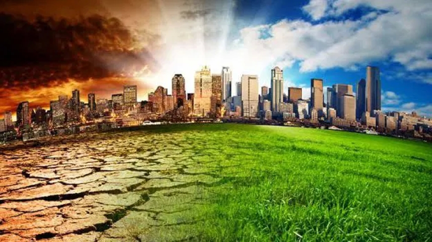 2024’ll be world’s hottest year on record – EU scientists