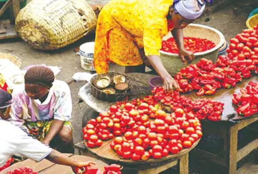 Jigawa lawmaker raises concern over rising food prices amid harvest season