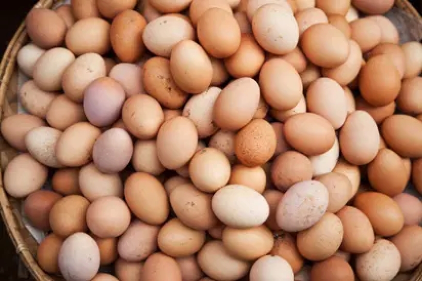 Price of beans rose by 254.23%; eggs, 140.21% – NBS