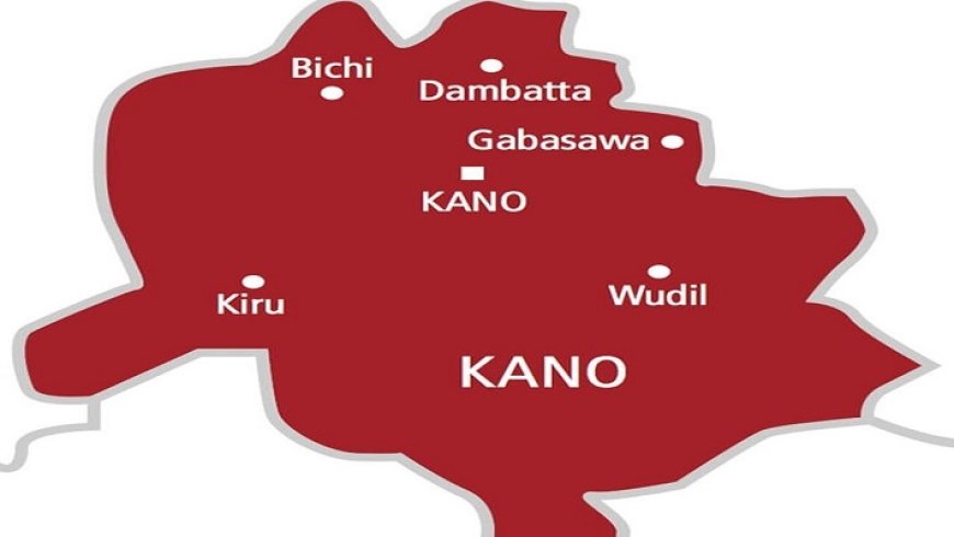 Kano Uncovers N1. 3bn Worth of Stolen Palliatives Rice in Warehouse