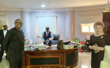 Farotimi: Sowore berates Peter Obi over visit to ‘beg’ Afe Babalola