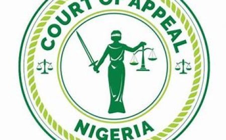 Rivers Federation Allocation: Gov Fubara Wins as Appeal Court Sets Aside High Court Ruling