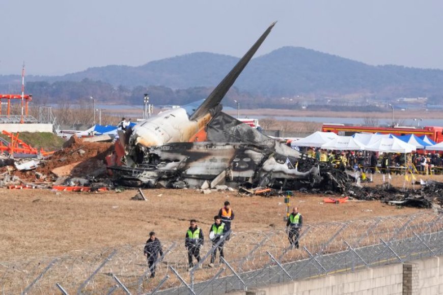 Why Korean Airline Crashed