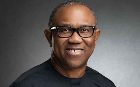 UniNiger: Peter Obi Charges Chidoka, Friends to Raise N1billion