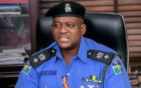 Nigeria police demand retraction, apology from Amnesty International over protest report