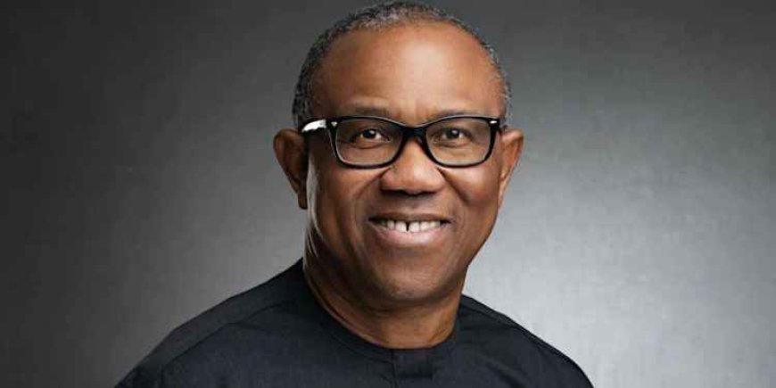 UniNiger: Peter Obi Charges Chidoka, Friends to Raise N1billion