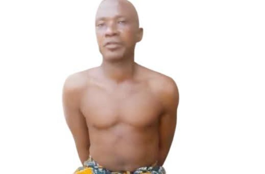 We Dismember Our Abducted Victims for Sales, Fortune Soap, Magic Powder-Twins