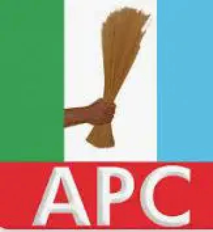 We didn’t ask LG chairmen seeking re-election to resign — Lagos APC