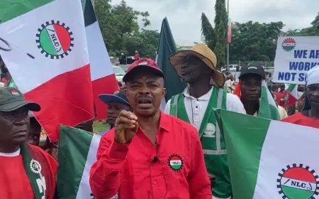 FG, NLC signs MoU over proposed 50% telecom tariff hike