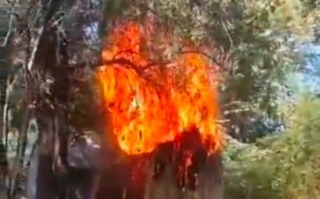 Terrorists Showdown: Boko Haram Raids Rival ISWAP Camps, Kills 31 Fighters