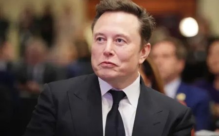Musk’s DOGE seeks access to US tax system – Reports