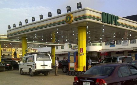 NNPCL petrol meets highest industry standards — PETROAN