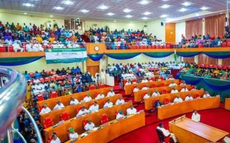 Invasion of Lagos Assembly: A National Embarrassment – Lawmakers Lament