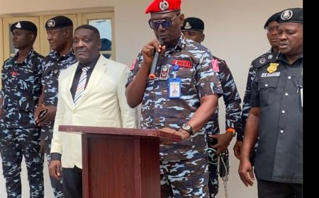 Police Nab Fake Doctor, Others, Rescue 10 Children in Anambra.