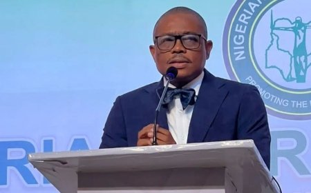 NBA condemns Benue Assembly’s resolution on Chief Judge’s removal