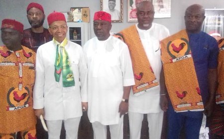Anambra PDP Excos, Supporters Decamp To APGA  *blame internal wrangs, itabilit