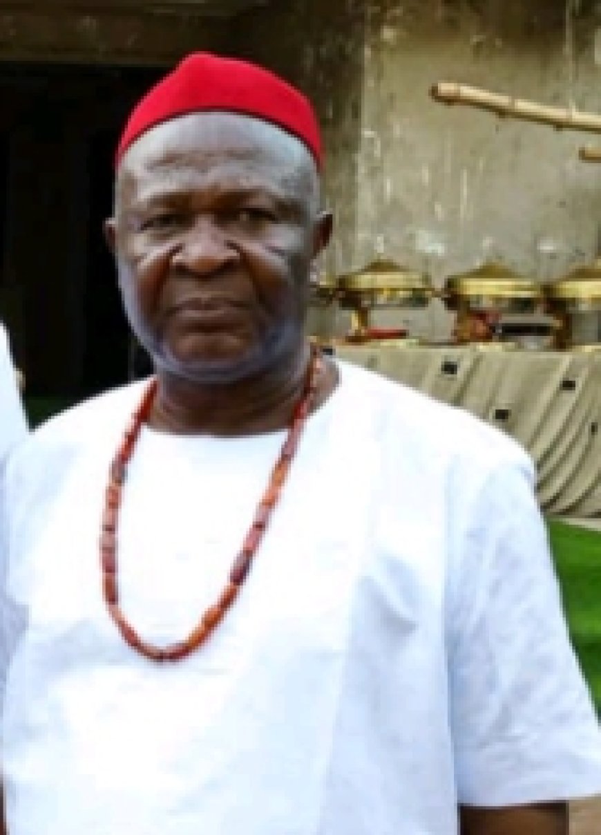 Anambra Community Leader Applauds IGP's Stance Against 'Forum Shopping' in Prosecution of Cases
