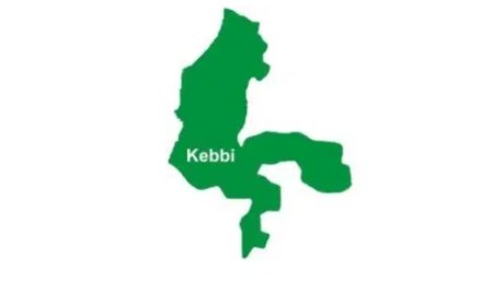 Suspected meningitis outbreak kills 26 in Kebbi – Govt
