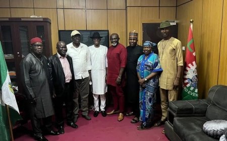 LP crisis: Abure sets up 3-member NASS intervention, truce committee