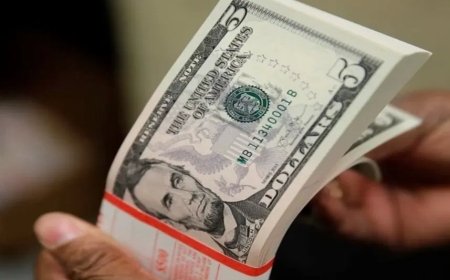 Customs intercepts undeclared $1.1m at Kano airport