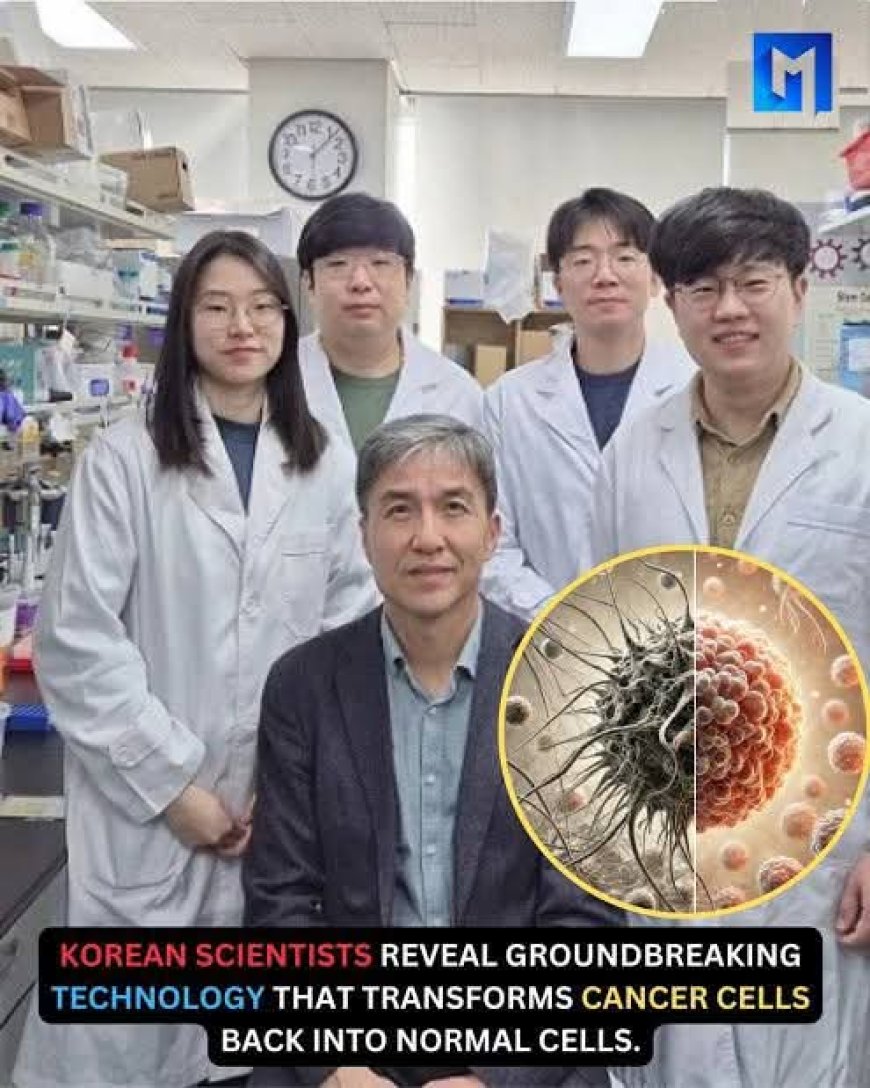Cancer Breakthrough: Korean Scientists Develop Technology That Turns Cancer Cells to Healthy Cells