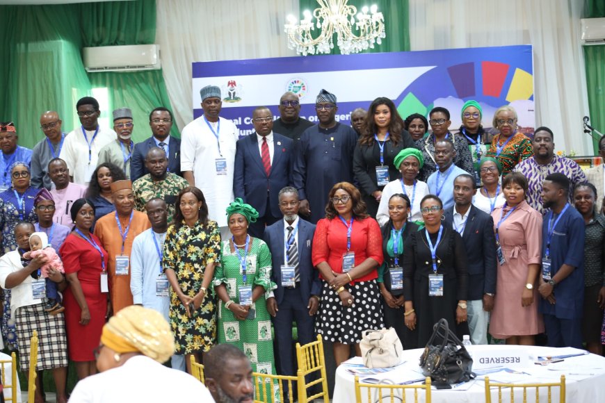 OSSAP-SDGs Holds Regional Consultation on 2025 VNR for the SDGs in South-South  
